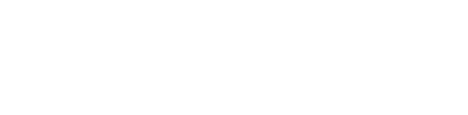 MoveFlex